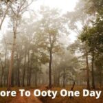 Mysore To Ooty One Day Trip
